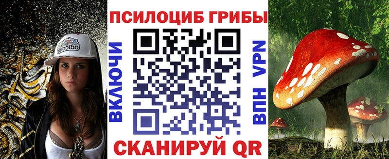 купить   Грязовец  Галлюциногенные грибы MAGIC MUSHROOMS 